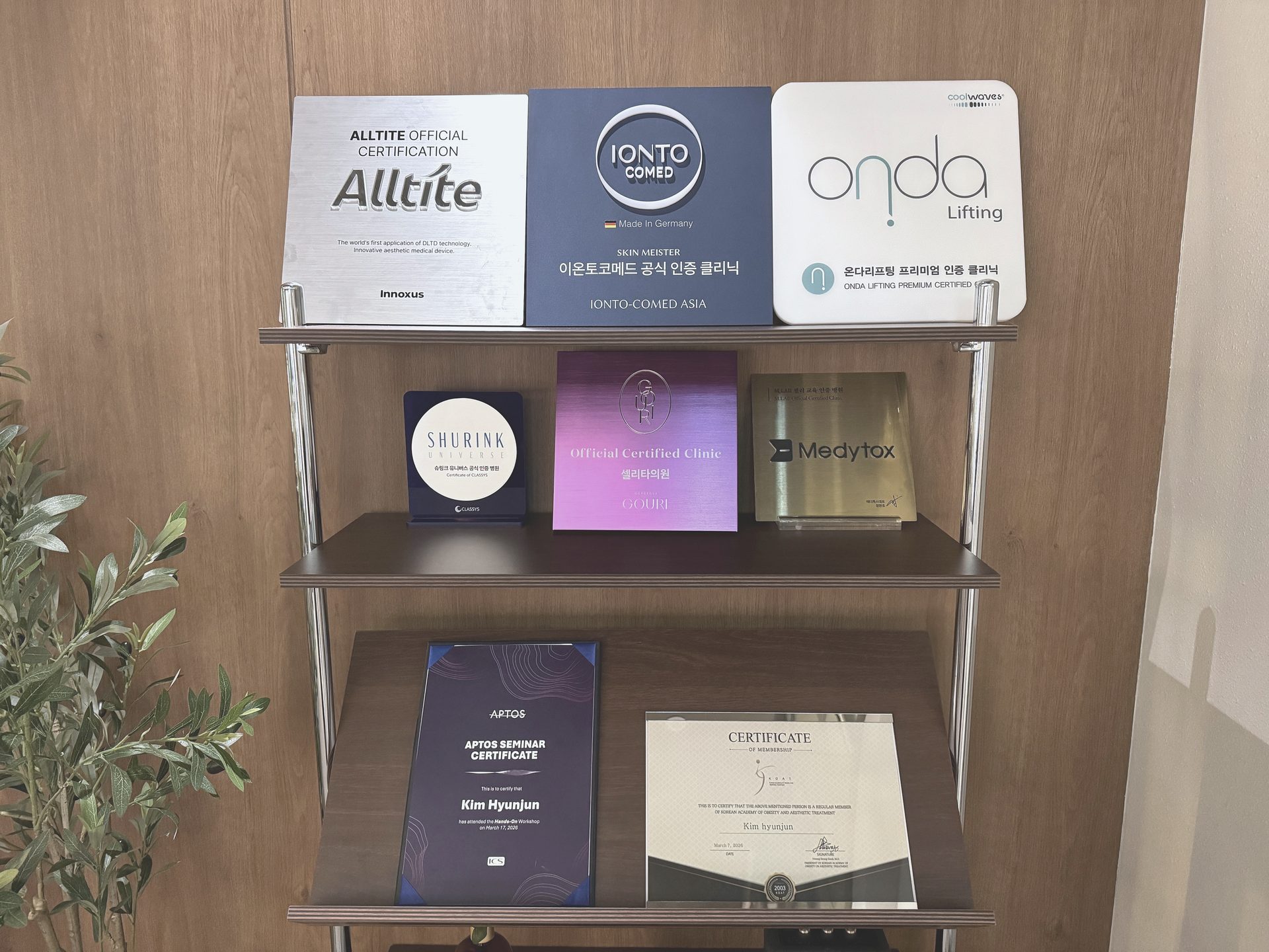 Treatment environment at CELITA CLINIC